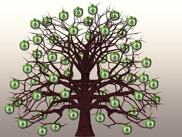 peníze rostou na stromech