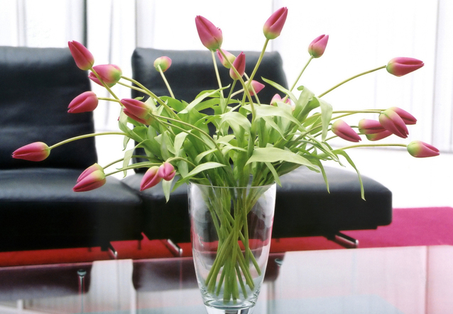 květiny ve váze na skleněném stole, v pozadí černá sedací souprava, jedná se o růžové zavřené tulipány
